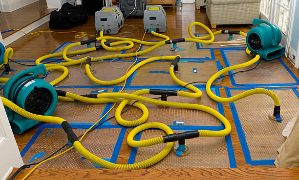 Professional Crawl Space Water Removal technician working in New Zion, SC